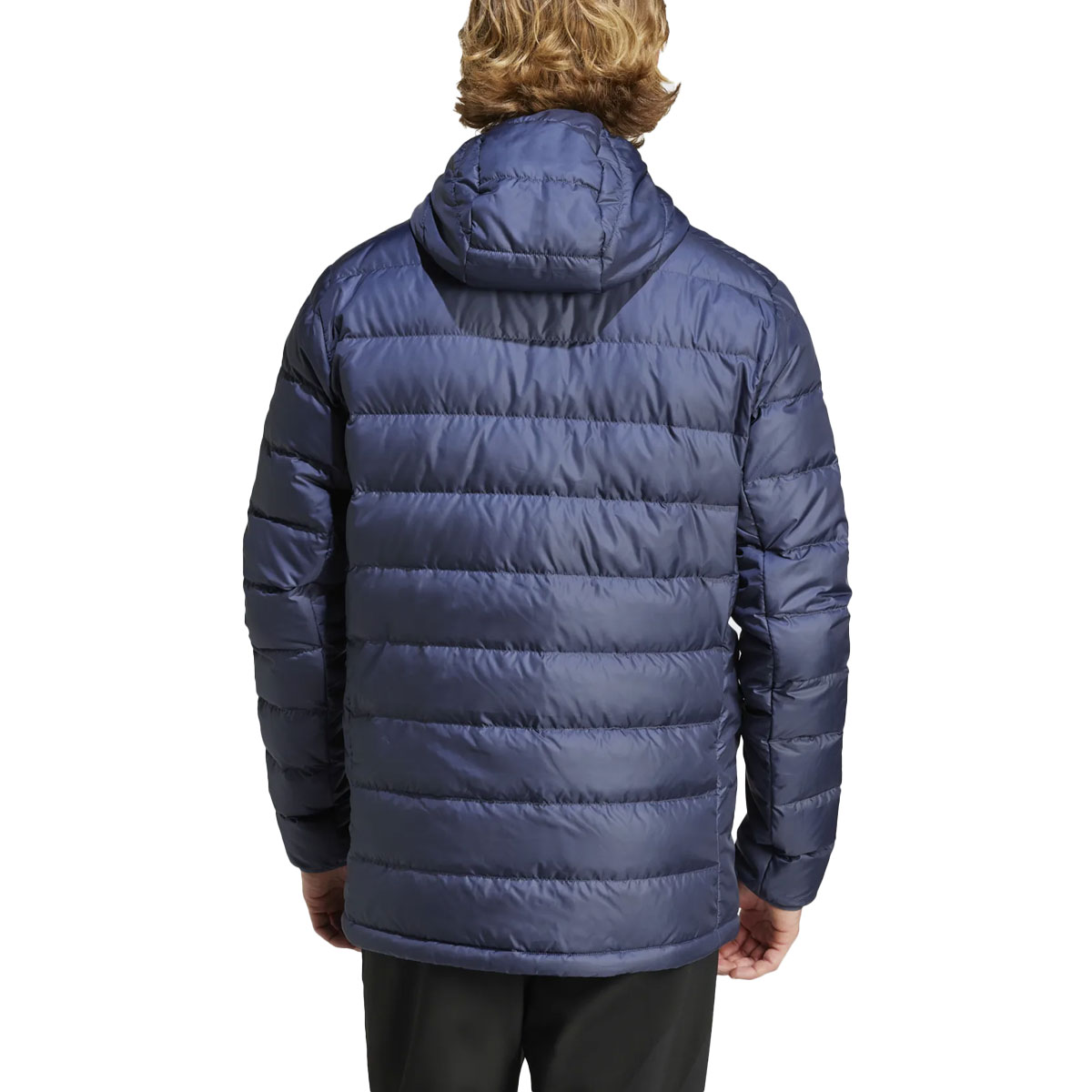 ADIDAS TERREX - MULTI LIGHT DOWN HOODED JACKET