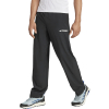 ADIDAS TERREX - MULTI LITEFLEX PANTS