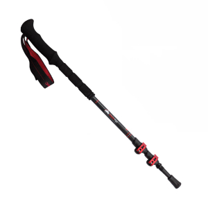ALPINPRO - PINDOS CARBON
