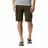 COLUMBIA - SILVER RIDGE II CARGO SHORT (PLUS SIZE)