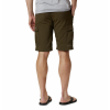 COLUMBIA - SILVER RIDGE II CARGO SHORT (PLUS SIZE)