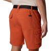 COLUMBIA - SILVER RIDGE CARGO SHORT