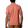 COLUMBIA - NELSON POINT POLO