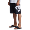 DC - LANAI BOARD SHORTS 21''