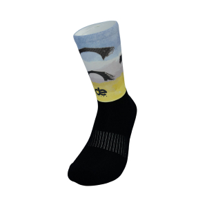 DE SOCKS - ZAGORI MOUNTAIN RUNNING 2025 PERFORMANCE SOCKS