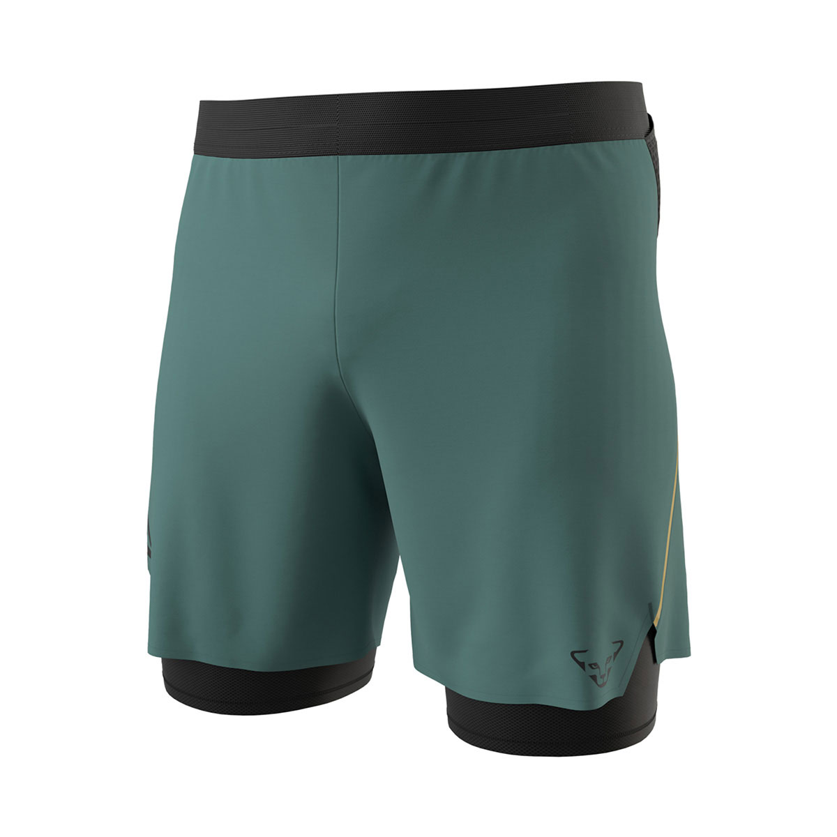 DYNAFIT - ALPINE PRO 2 IN 1 SHORTS