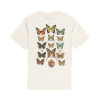 ELEMENT - X SMOKEY BEAR BUTTERFLIES