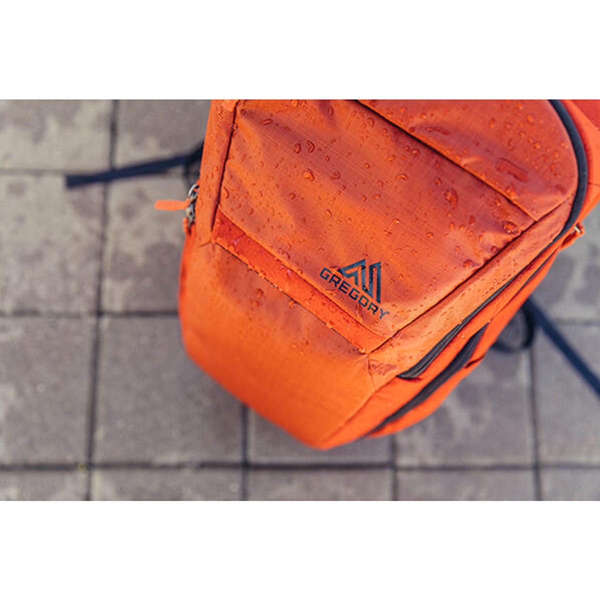 GREGORY - RESIN BACKPACK 26 L