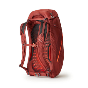 GREGORY - ARRIO BACKPACK 24 L