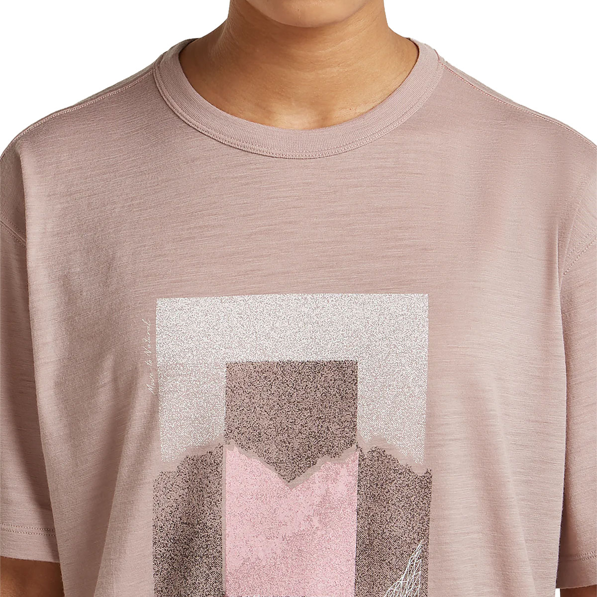 ICEBREAKER - 150 TECH LITE RELAXED T-SHIRT MOUNTAIN SHIFT