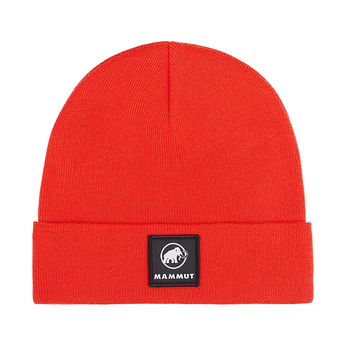 MAMMUT - FEDOZ BEANIE