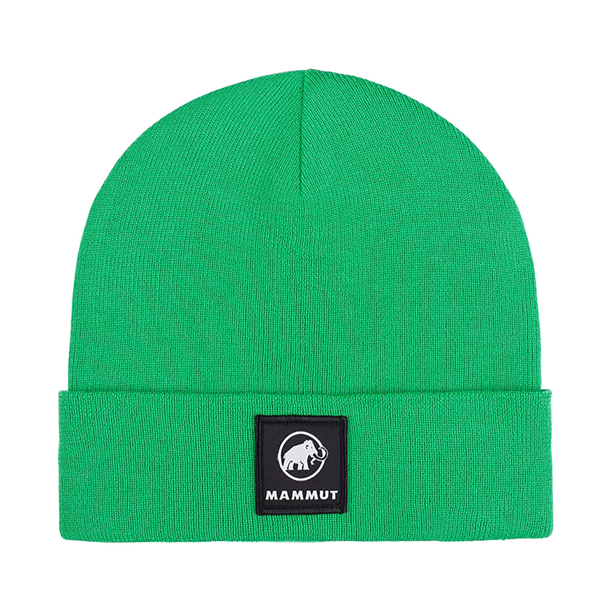 MAMMUT - FEDOZ BEANIE
