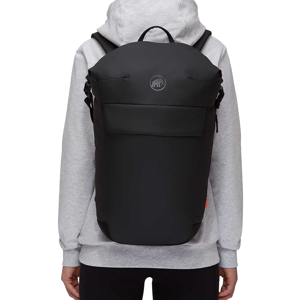 MAMMUT - SEON COURIER 20L