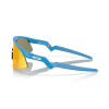 OAKLEY - RESISTOR SWEEP