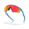 OAKLEY - RESISTOR SWEEP