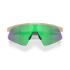 OAKLEY - RESISTOR SWEEP