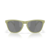 OAKLEY - FROGSKINS
