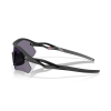 OAKLEY - RADAR PLATE