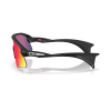 OAKLEY - STUNT DEVIL