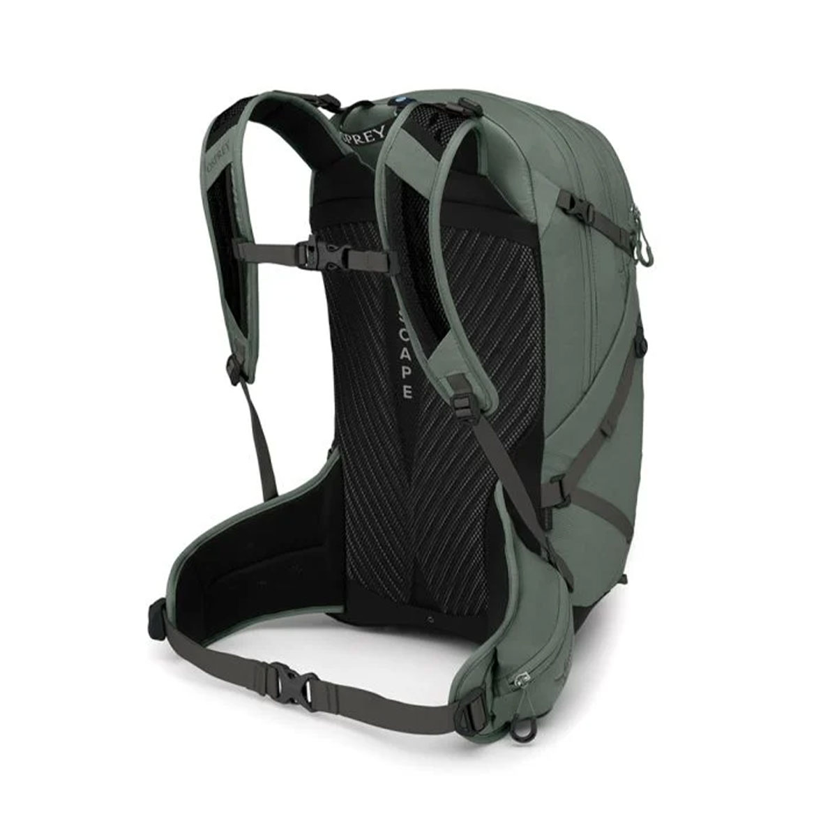 OSPREY - SPORTLITE PINE LEAF GREEN 25 L