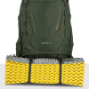OSPREY - KESTREL BONSAI GREEN 68 L