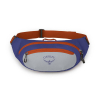 OSPREY - DAYLITE WAIST SILVER LINING/BLUEBERRY 2 L