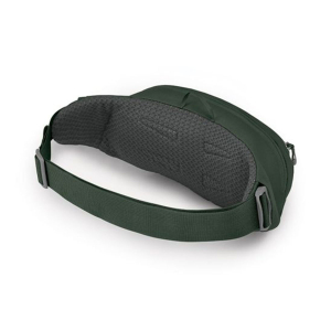 OSPREY - DAYLITE WAIST GREEN BELT / GREEN CANOPY 2 L