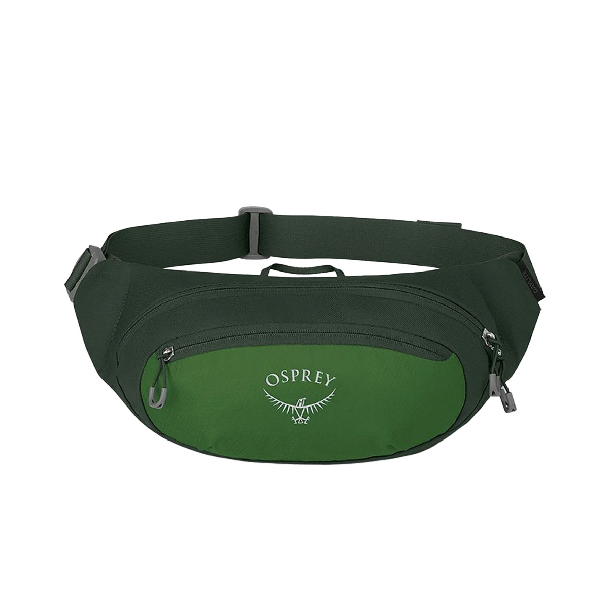 OSPREY - DAYLITE WAIST GREEN BELT / GREEN CANOPY 2 L
