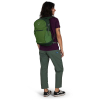 OSPREY - DAYLITE PLUS GREEN BELT / GREEN CANOPY 20 L OSPREY - DAYLITE PLUS GREEN BELT / GREEN CANOPY 20 L