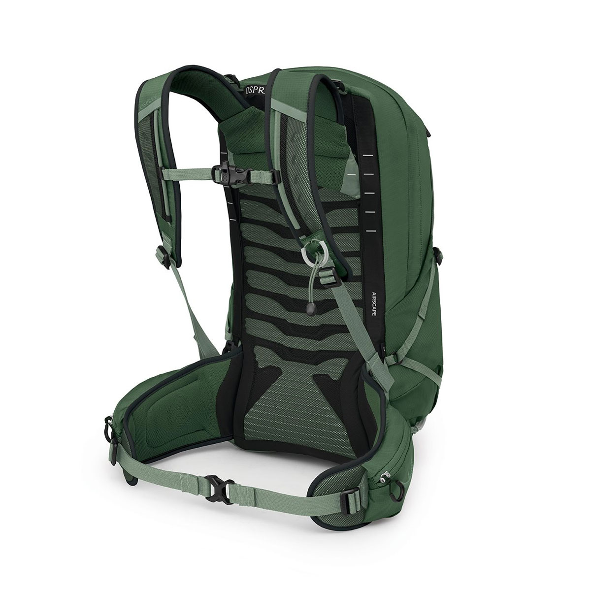 OSPREY - TALON GREEN CANOPY PINE LEAF 22 L