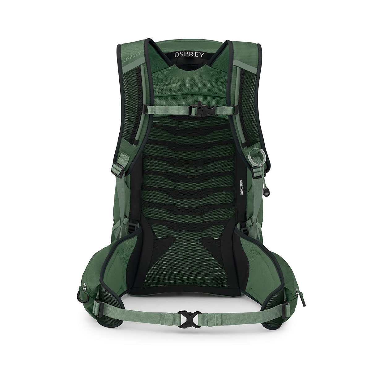 OSPREY - TALON GREEN CANOPY PINE LEAF 22 L