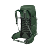 OSPREY - TALON GREEN CANOPY PINE LEAF 33 L