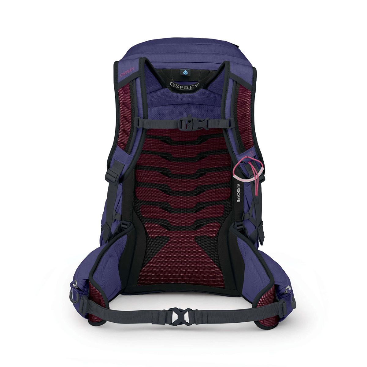 OSPREY - TEMPEST DEEP FIG / HOTSPOT PINK 26 L