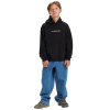 QUIKSILVER - SALT WATER GRAPHIC HOODIE (8-16 YEARS)