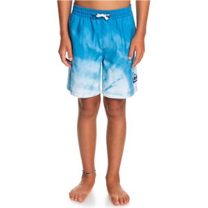 QUIKSILVER - EVERYDAY FADED LOGO SWIM SHORTS 15'' (8-16 YEARS)