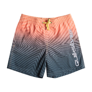 QUIKSILVER - EVERYDAY WARPED LOGO SWIM SHORTS 14''