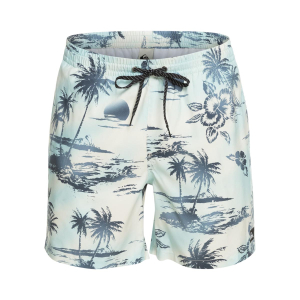 QUIKSILVER - EVERYDAY MIX SWIM SHORTS 17''