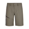 SALEWA - ISEO DRY SHORTS