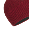 SALEWA - SARNER 2 WOOL BEANIE