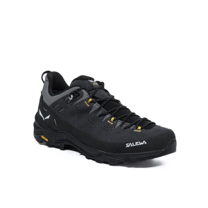 SALEWA - ALP TRAINER 2 GORE-TEX