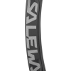 SALEWA - ORTLES BENT CARABINER