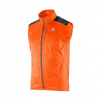 Salomon fast wing vest hotsell