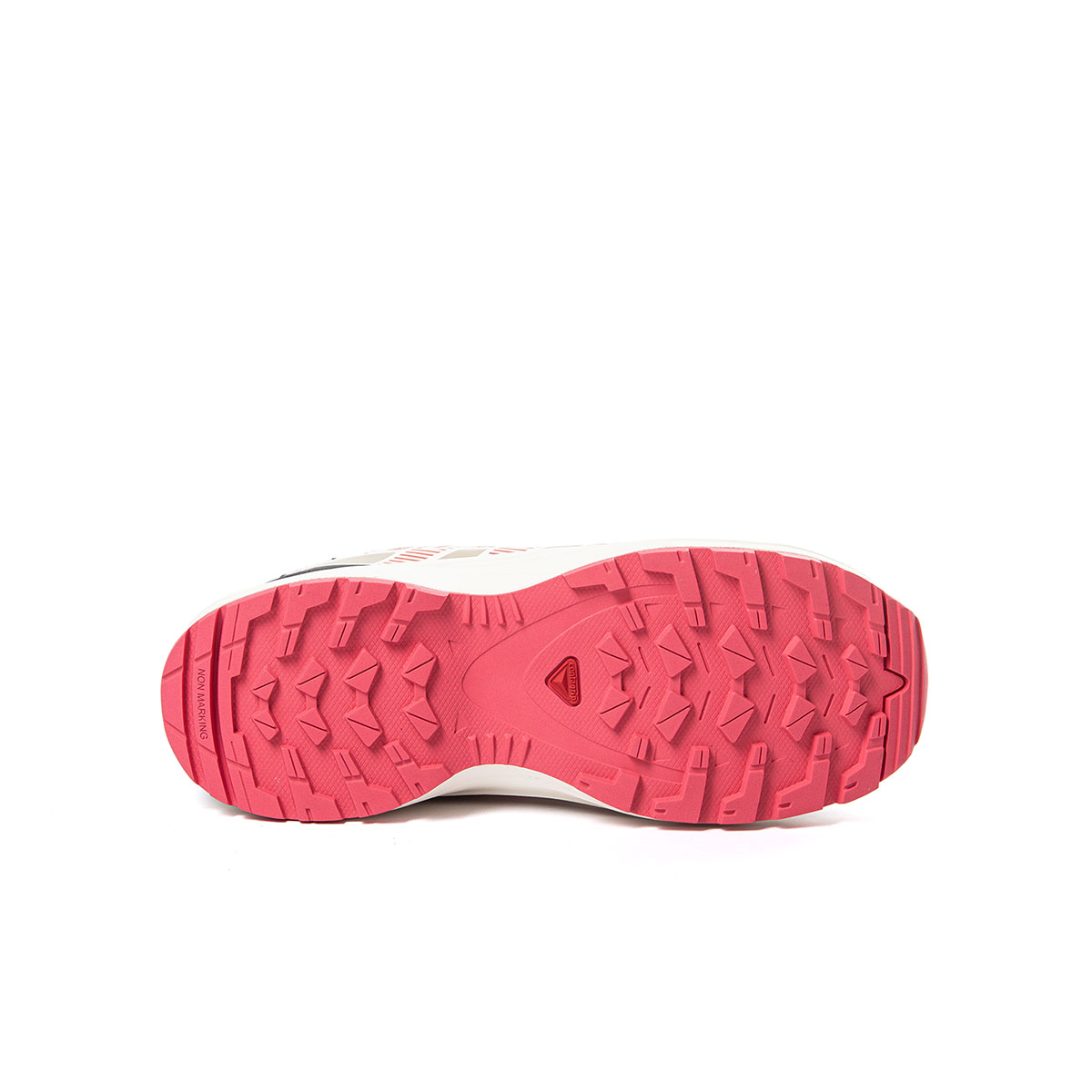 SALOMON - XA PRO V8 WATERPROOF