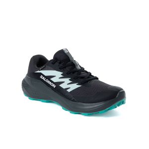 SALOMON - ALPHAGLIDE GTX