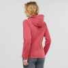 SALOMON - BISE HOODIE