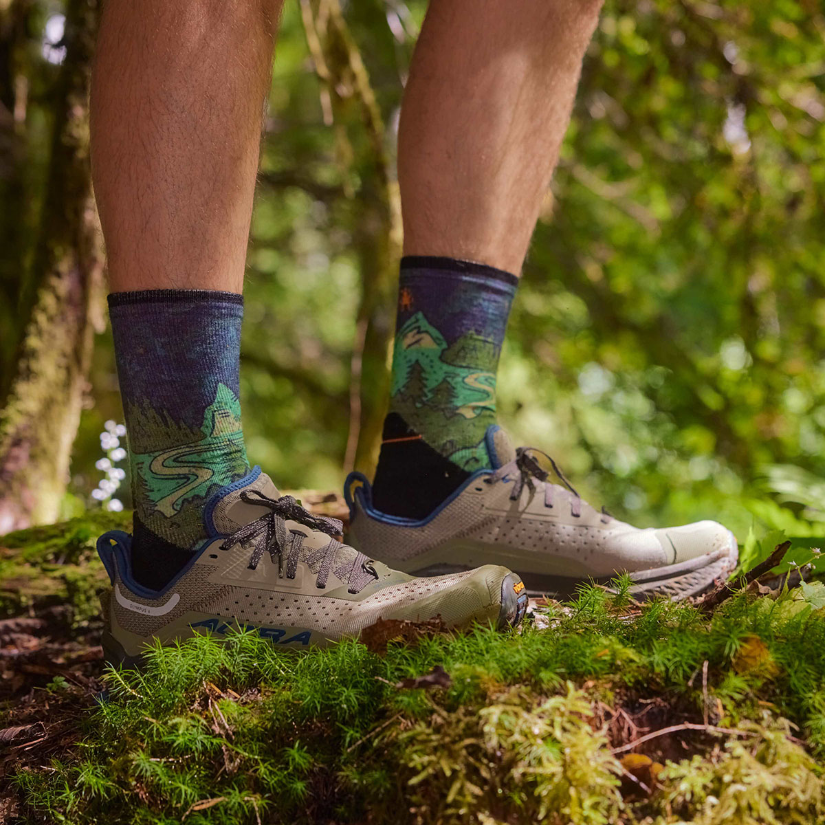 SMARTWOOL - TRAIL RUN NEATURE PRINT CREW SOCKS
