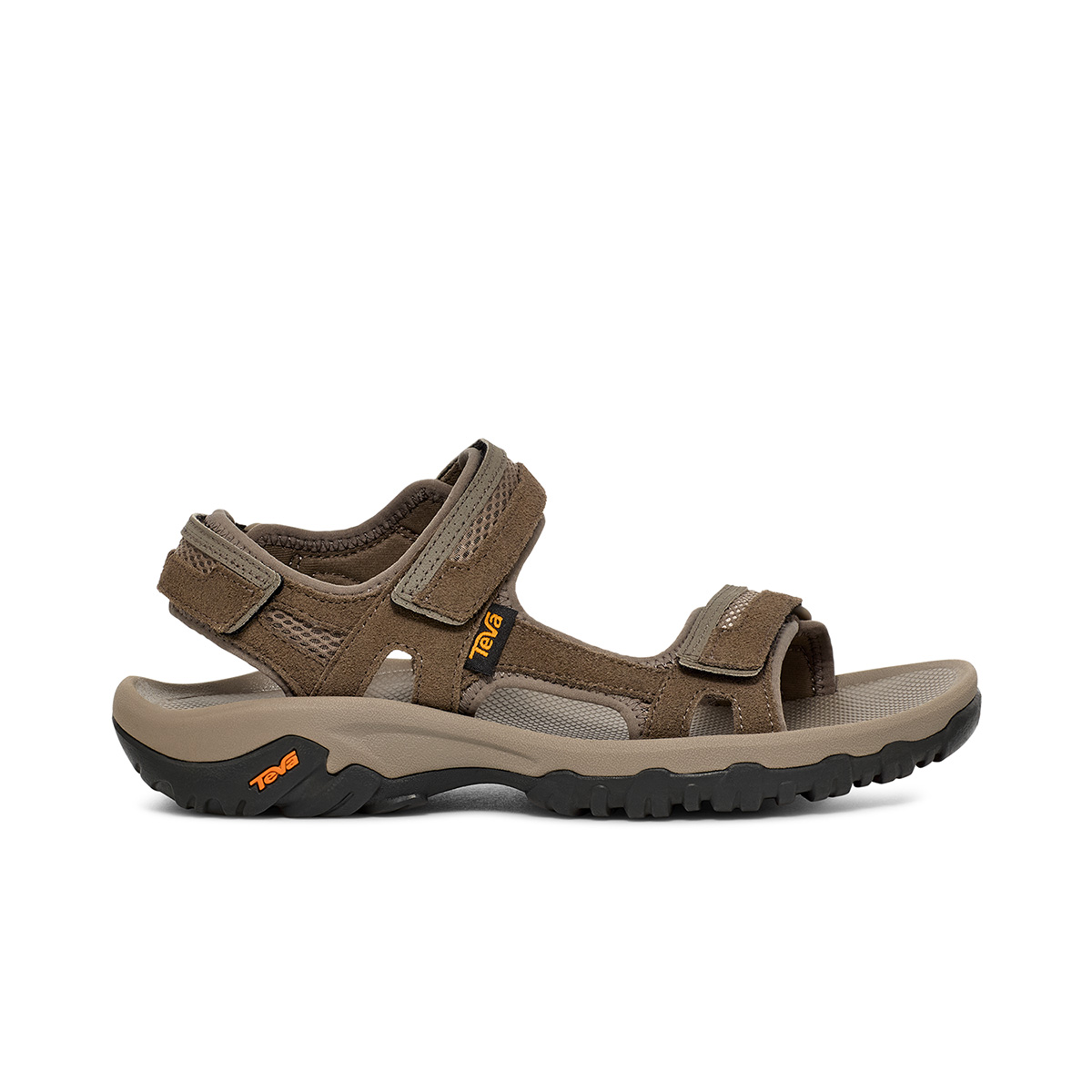 TEVA - HUDSON