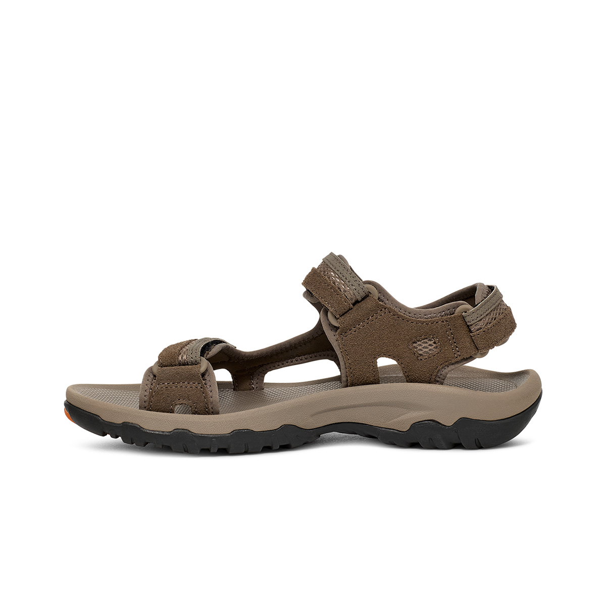 TEVA - HUDSON