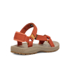 TEVA - WINSTED