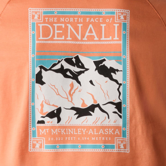 North face faces t shirt hotsell